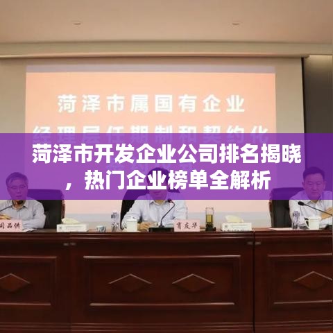 菏泽市开发企业公司排名揭晓，热门企业榜单全解析