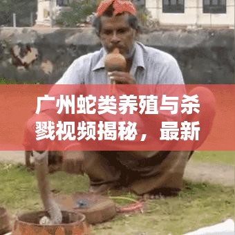 广州蛇类养殖与杀戮视频揭秘，最新动态与深度探讨