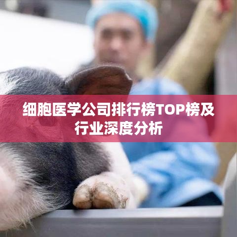 细胞医学公司排行榜TOP榜及行业深度分析